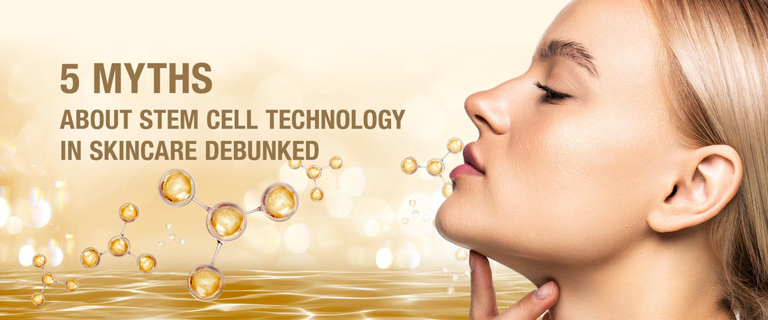 Majestic Skin anti-aging serum with Japanese stem cell technology before and after results