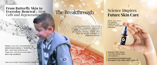 Microscopic view of regenerating skin cells showing stem cell renewal process inspired by medical breakthrough treatment