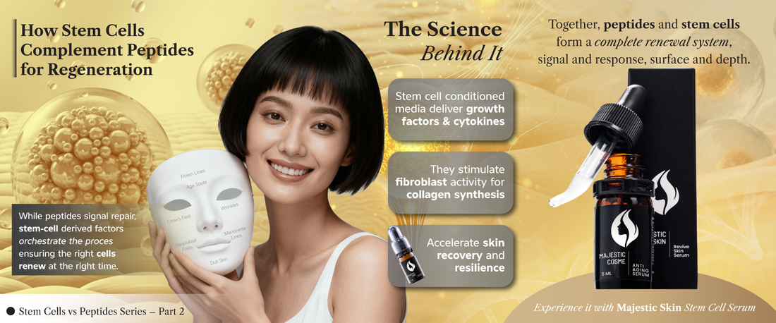 Human stem cell growth factors and peptides working together for deep skin regeneration and wrinkle reduction
