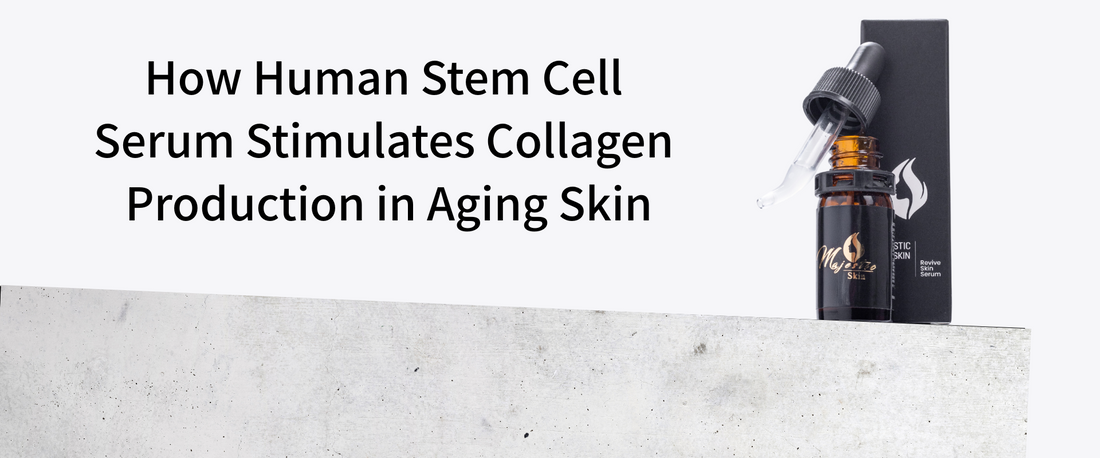 Majestic Skin Human Stem Cell Serum – Boosting Collagen Production in Aging Skin