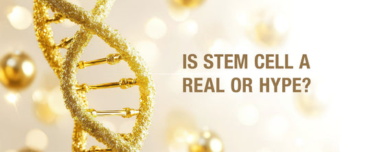 A conceptual visual showing skincare innovation, featuring a woman applying serum while skin cells and collagen structures activate underneath — representing the science behind human stem cell serum.