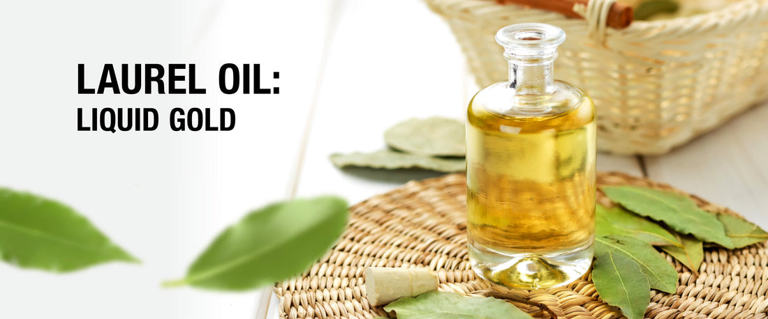 Juri Soap bar with laurel branches and olive leaves on wooden background