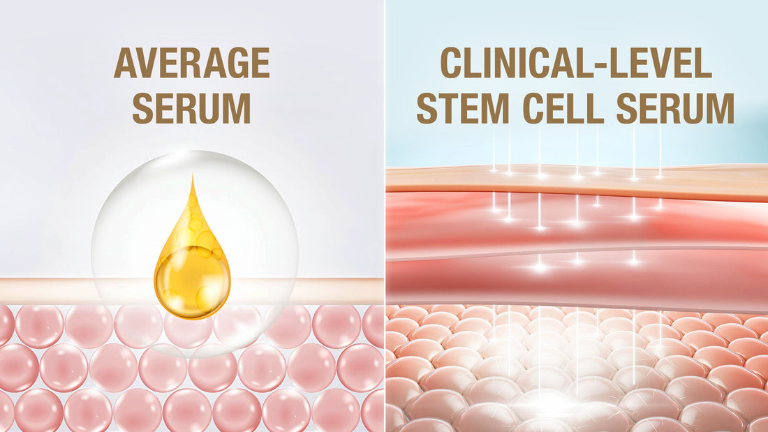 Comparison image showing how average serums sit on the skin surface, while clinical-level stem cell serum penetrates deeper to activate regeneration — visually illustrating the difference in skincare efficacy.