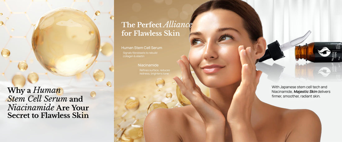 Diagram showing how growth factors from a human stem cell serum communicate with fibroblast cells to stimulate collagen production.