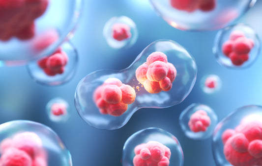 Human stem cell skincare image