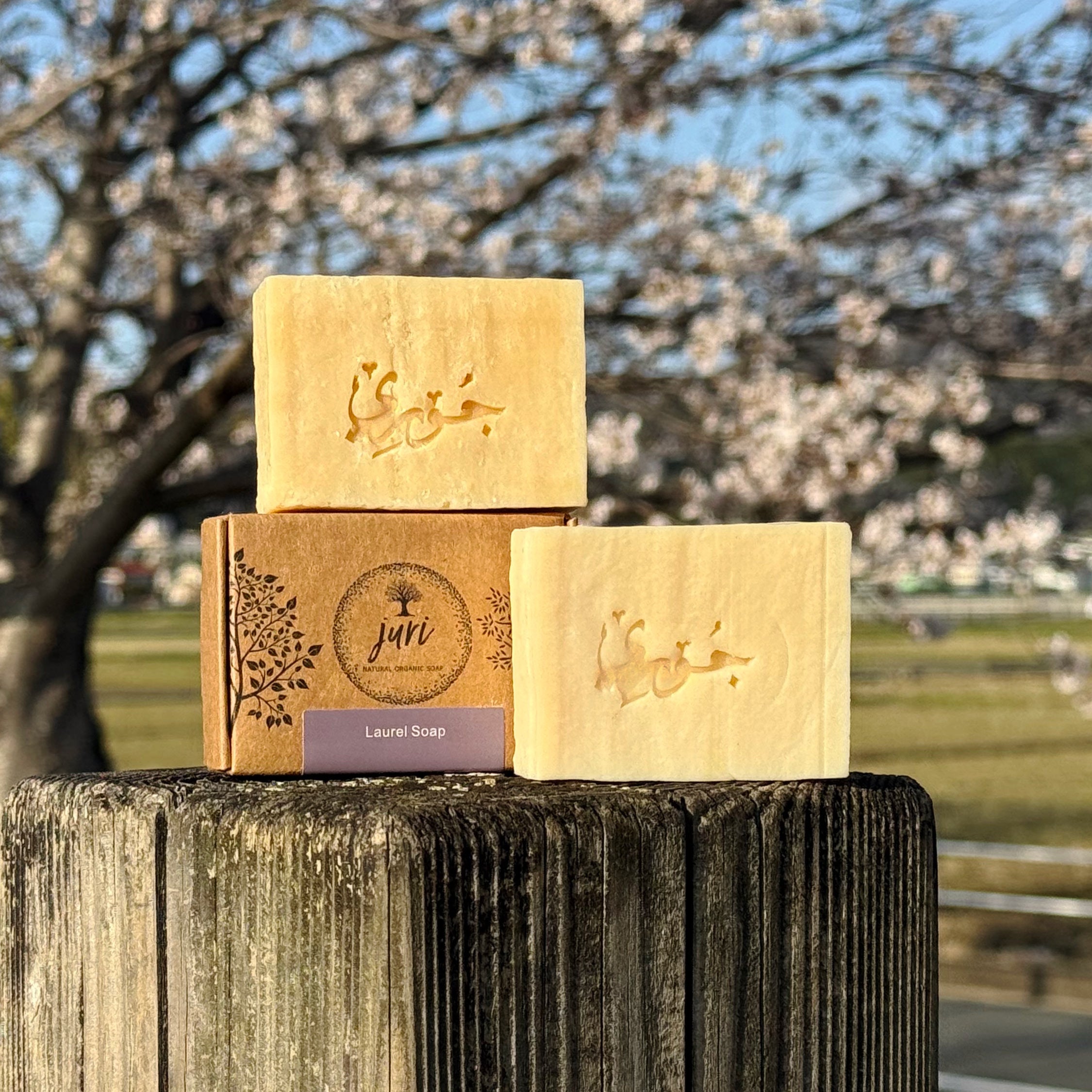 Organic soap Juri's Soap displayed on a wooden post with blooming cherry trees in the background.