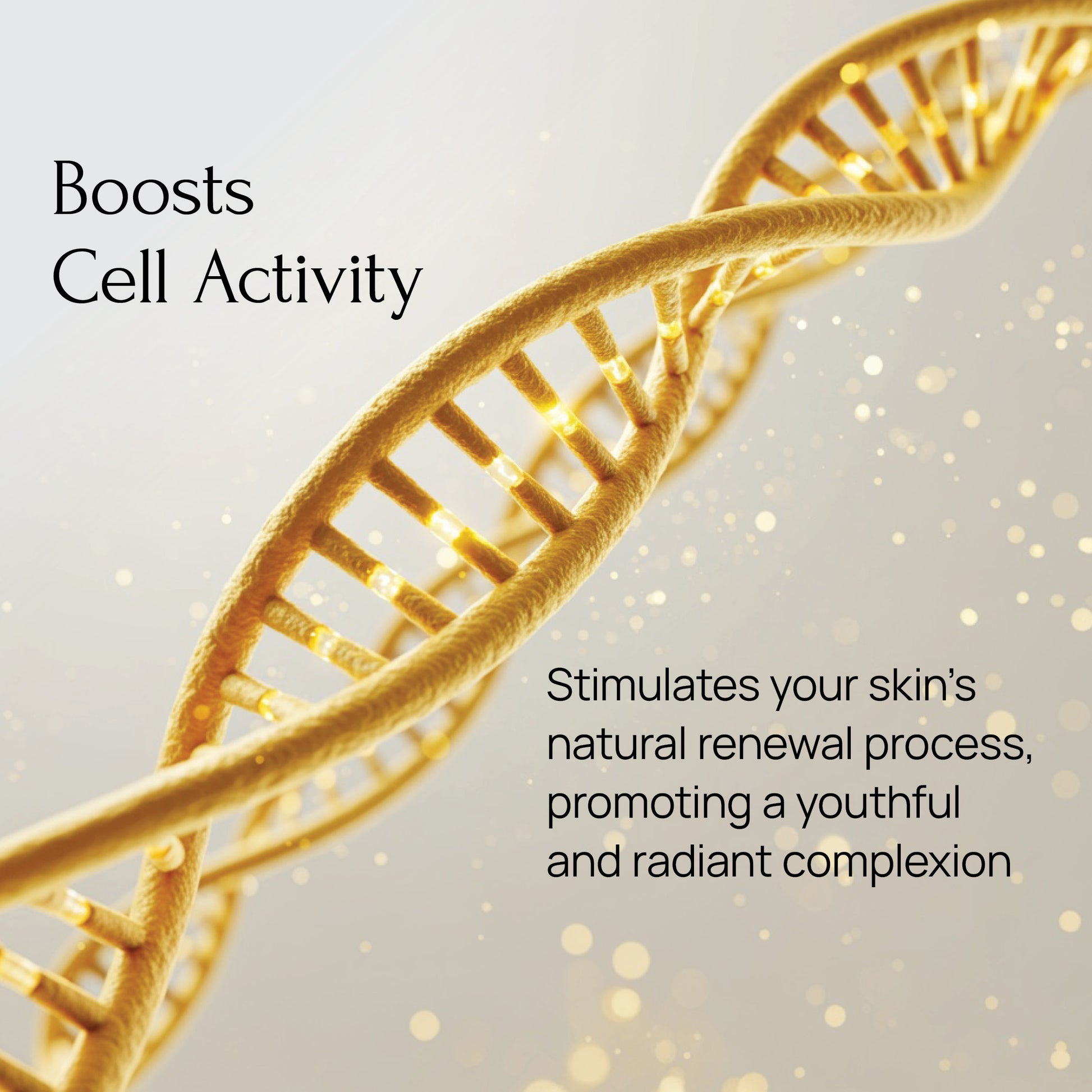 Majestic Skin 5ml Serum Default Title Majestic Cosme