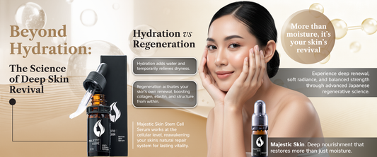  Majestic Skin stem cell serum showing deep dermal regeneration layers compared to surface hydration in skin cross-section diagram