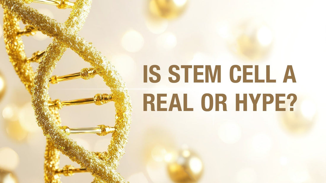 A conceptual visual showing skincare innovation, featuring a woman applying serum while skin cells and collagen structures activate underneath — representing the science behind human stem cell serum.