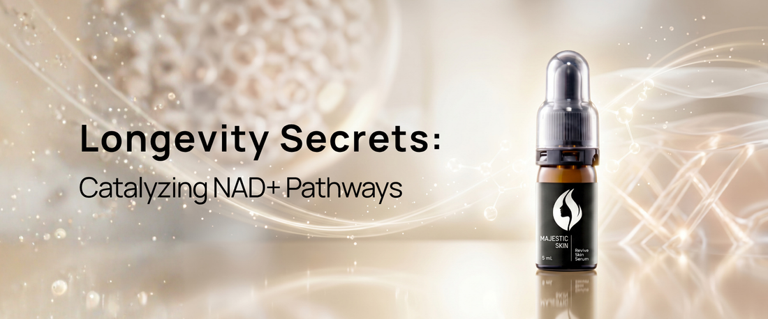 Scientific illustration of NAD+ pathways, mitochondria, and peptide technology supporting skin longevity and cellular renewal