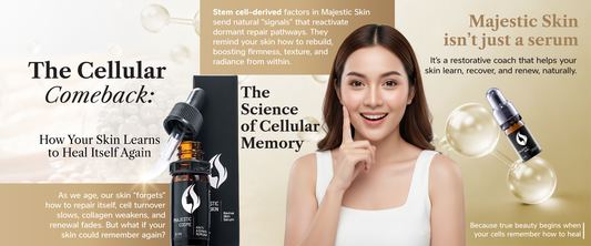  Majestic Skin human stem cell anti-aging serum bottle with cellular regeneration visualization showing skin repair process