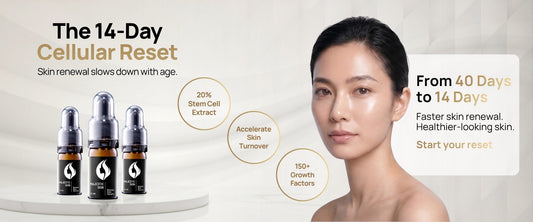 Majestic Skin human stem cell serum promoting accelerated 14-day skin renewal and collagen regeneration